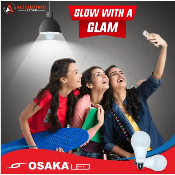 OSAKA 12V DC LED Bulb
