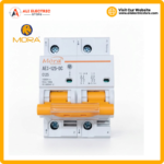 Mora 2P DC 1000V 125A Circuit Breaker Front View — DC 125A battery breaker Pakistan